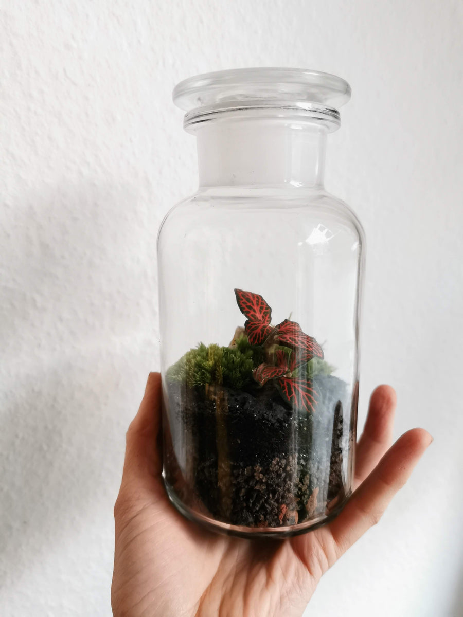 Apothekerglas XS – Petite Jungle