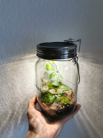 Glas mit integriertem Licht