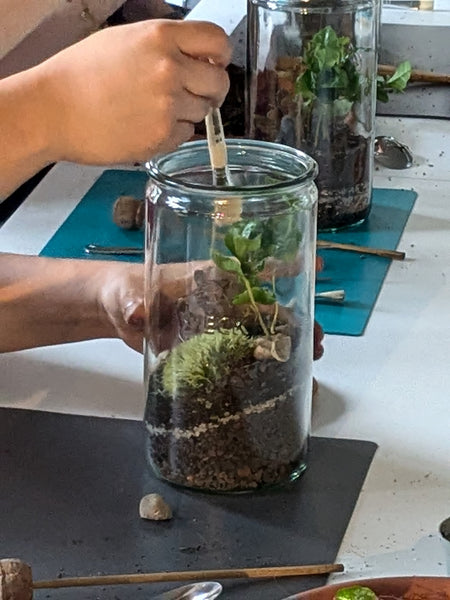 Terrarium Workshop S x 13 Teilnehmer