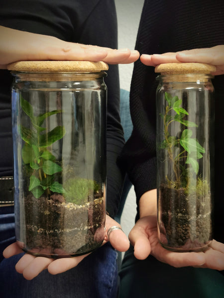 Terrarium Workshop X-Mas - 18.12.2026