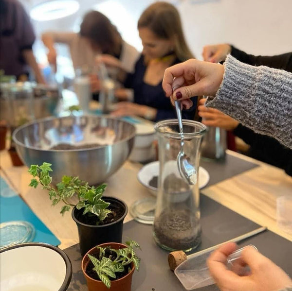NEU ! Terrarium Workshop 3 x Minis für Weihnachten - 13.12.23