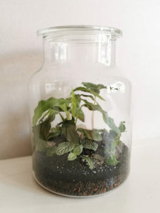 Vase M