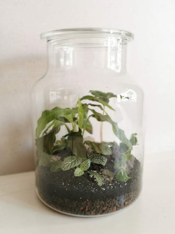 Vase M