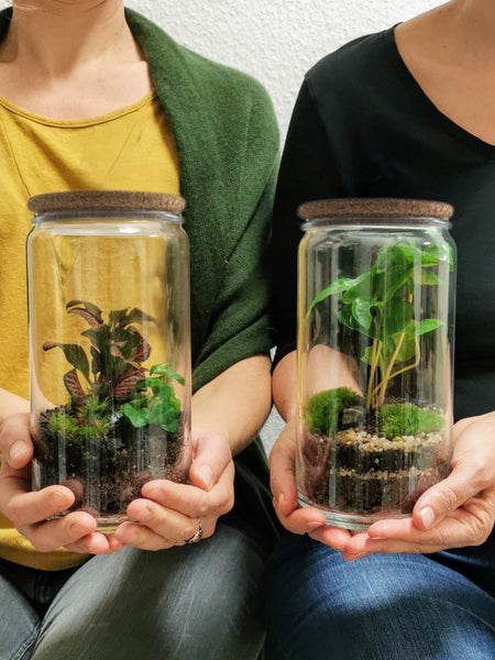 Terrarium Workshop Size M&S - 14.05.25 - ENG