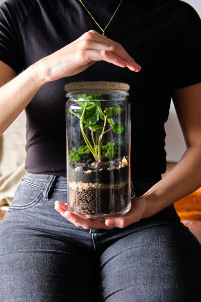 Terrarium Workshop Size M&S - 14.05.25 - ENG