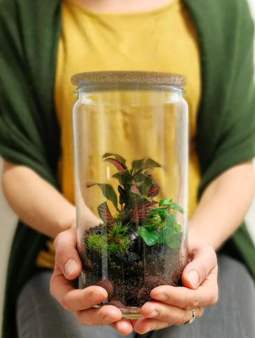 Terrarium Workshop Size M&S - 14.05.25 - ENG