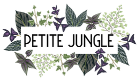 Petite Jungle