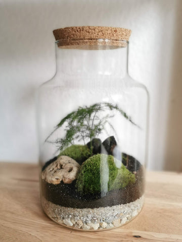 Vase M