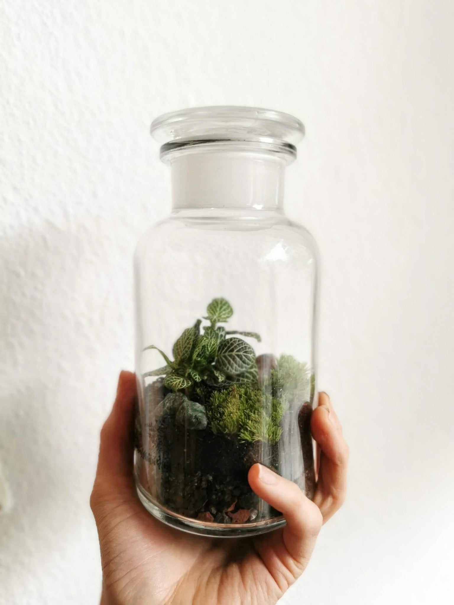 Apothekerglas XS