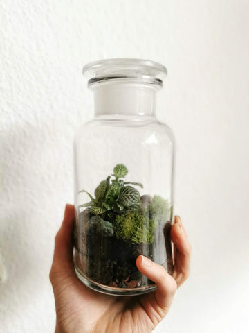 Apothekerglas XS