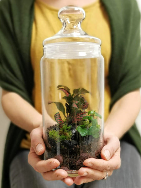 DIY Terrarium Kit für zwei - Bonbonglas