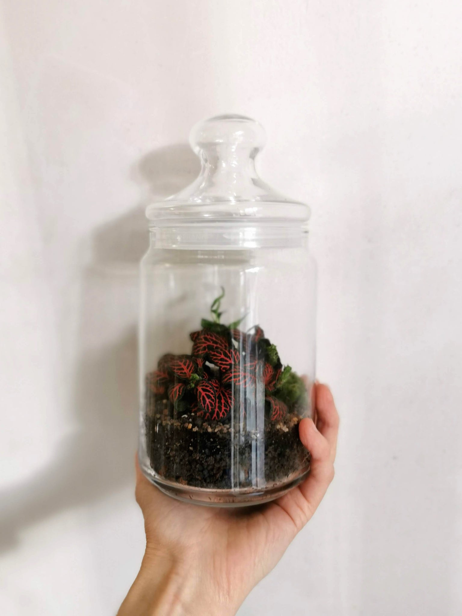 Bonbonglas Mini
