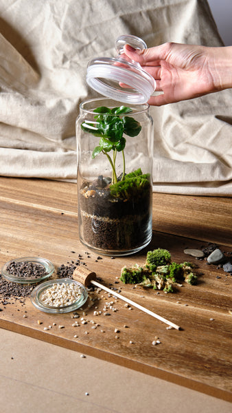 DIY Terrarium Kit für zwei - Bonbonglas