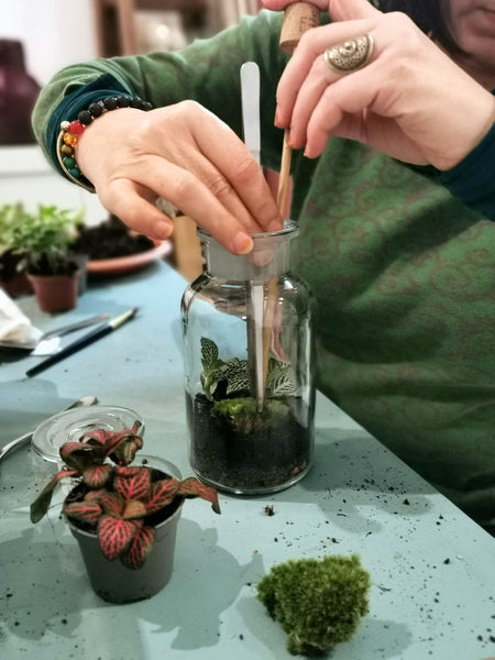 DIY Terrarium Kit - Apothekerglas