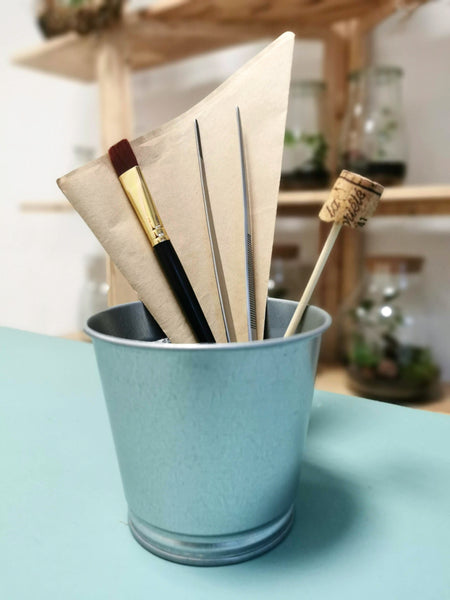 DIY Terrarium Kit - Apothekerglas