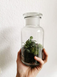 DIY Terrarium Kit - Apothekerglas