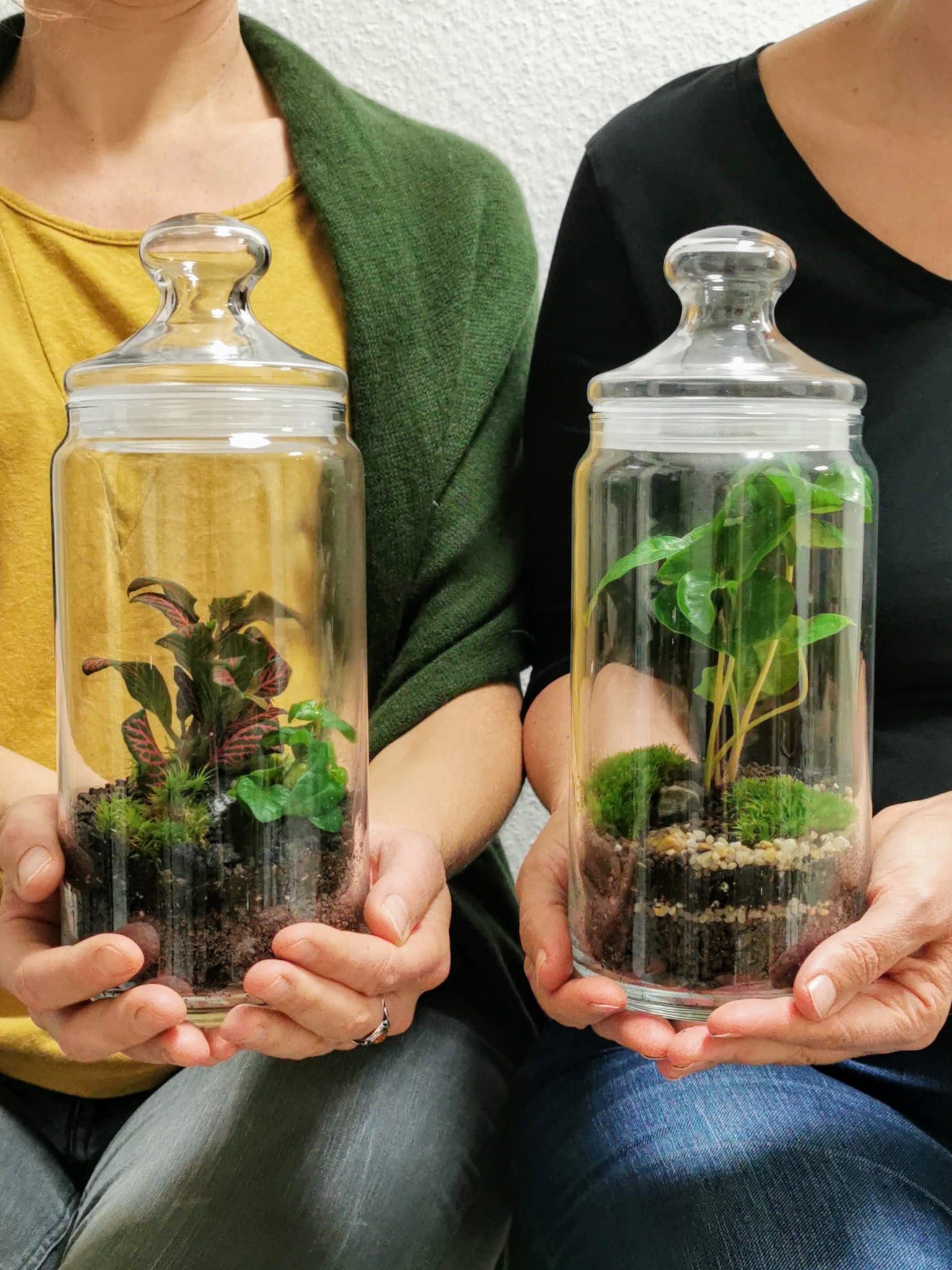DIY Terrarium Kit für zwei - Bonbonglas