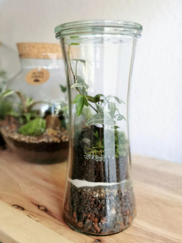 Terrarium XS - Mini Weckglas