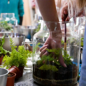 Terrarium Workshop Size M&S - 14.05.25 - ENG